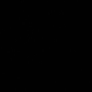 Off white lot 19 dunks size 9